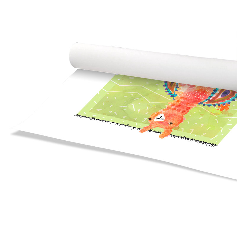 «Rolled Lovely Llama I», impression sur papier, H 40 po x l 28 po x P 1 po