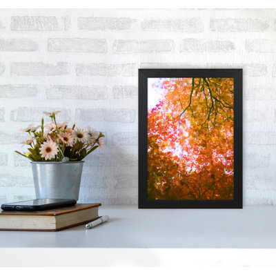 Autumn Leaves - Print