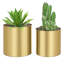 Jaspal Plated Pot Planter Indoor-1827995509