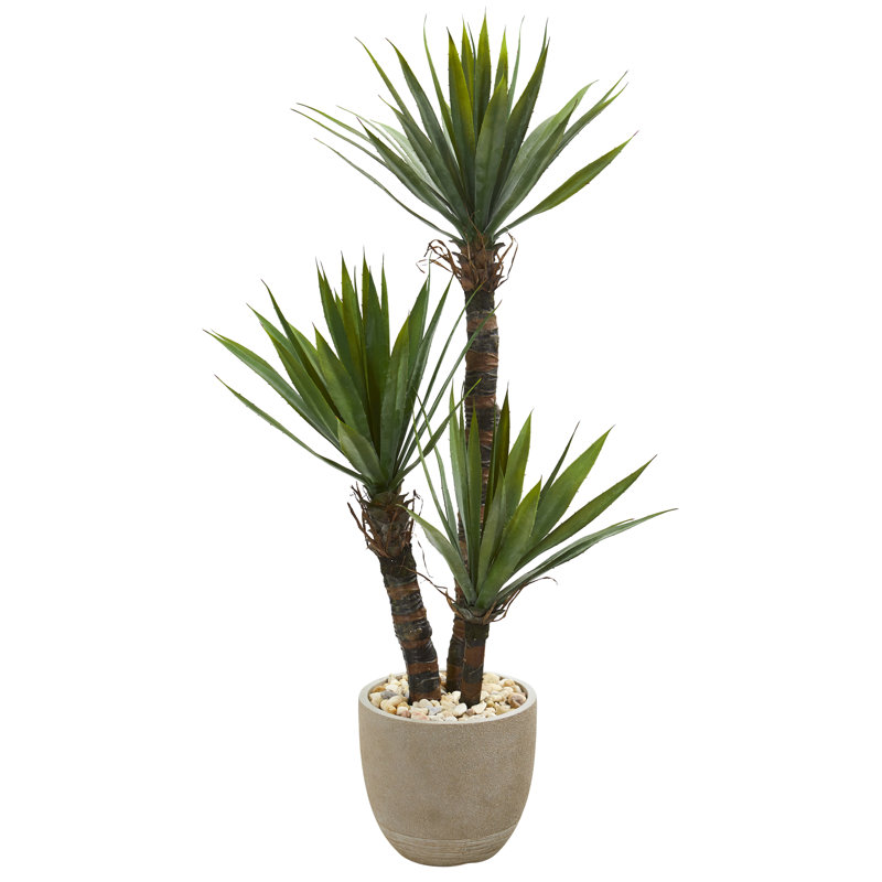 Faux Yucca Tree in Ceramic Planter, 56" H x 20" W x 20" D