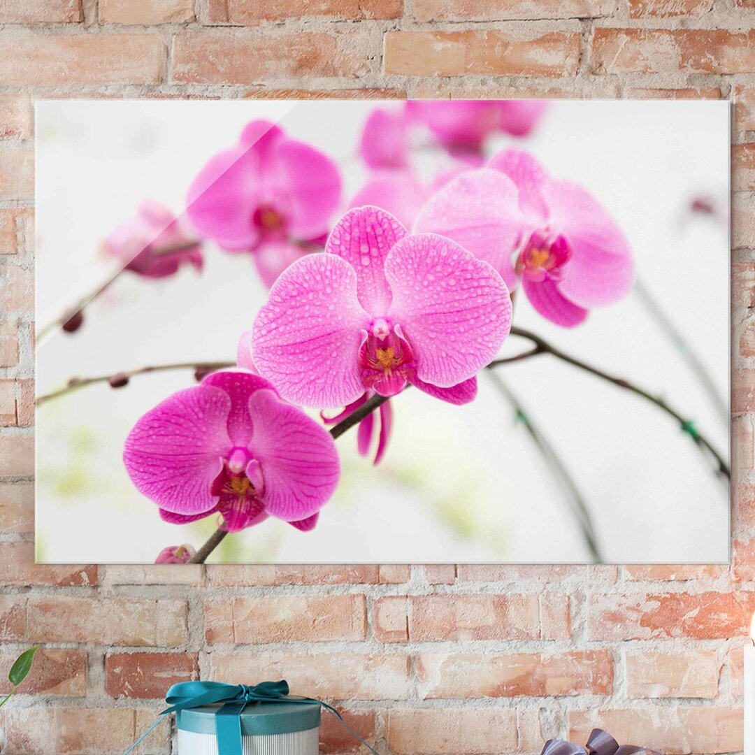 Glasbild Geschlossene Orchidee