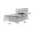 Naima White Finish  Bed W/Storage