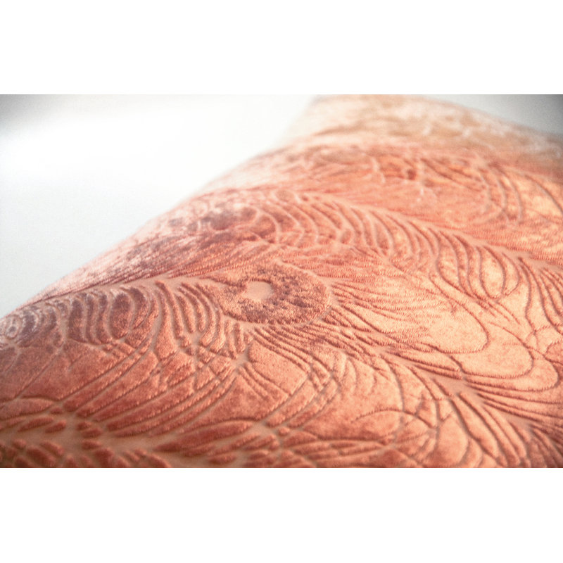 Peacock Feather Square Velvet Pillow Cover & Insert, Square 22", Sunstone