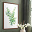 Eucalyptus III, reproduction encadrée - bois massif-1564047301-1564047307