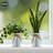 Flower Vase With Hemp Rope Bow-2100092062