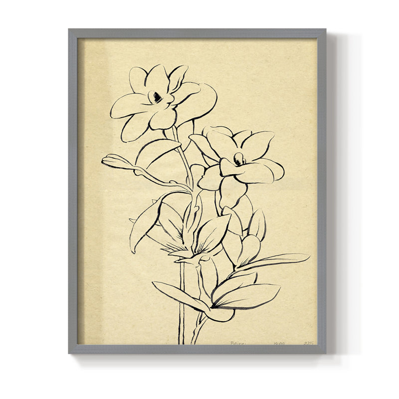 «Magnolia S croquis I», reproduction encadrée - bois massif, Gris, H 10 po x l 8 po