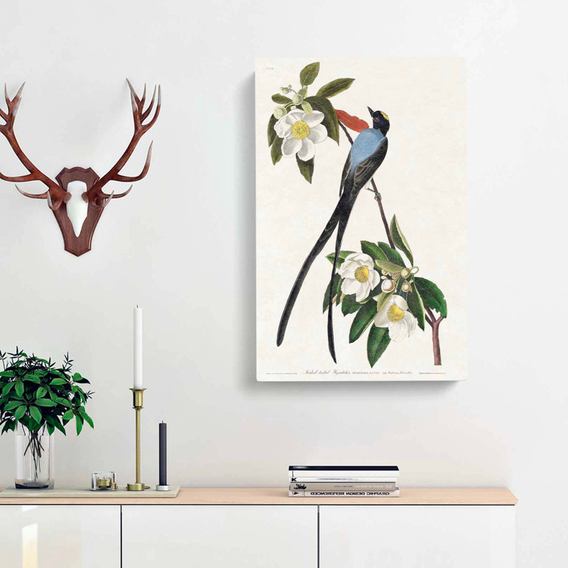 Fork Tailed Flycatcher Bird - Wrapped Canvas Painting, 60cm H x 40cm W x 3cm D