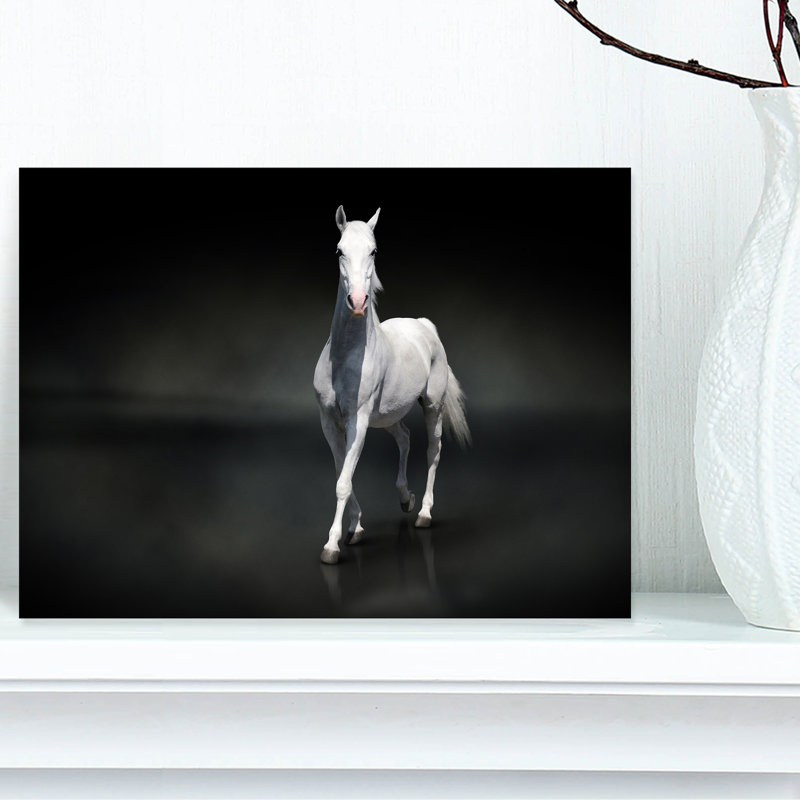 Cheval noir isolé sur noir - impression sur toile tendue, H 30 po x l 40 po