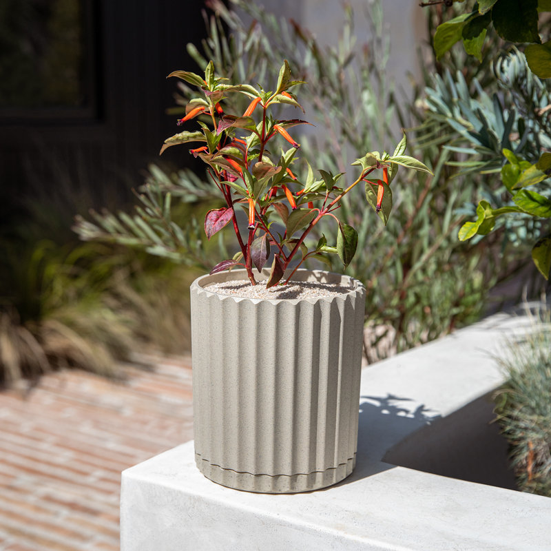 Pot à fleurs 6 "Veradek Demi Series, Sable, 1