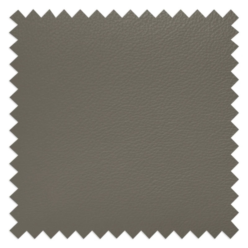 Kitt Genuine Leather 2-Seat Fold-out Sleeper Sofa, Gray