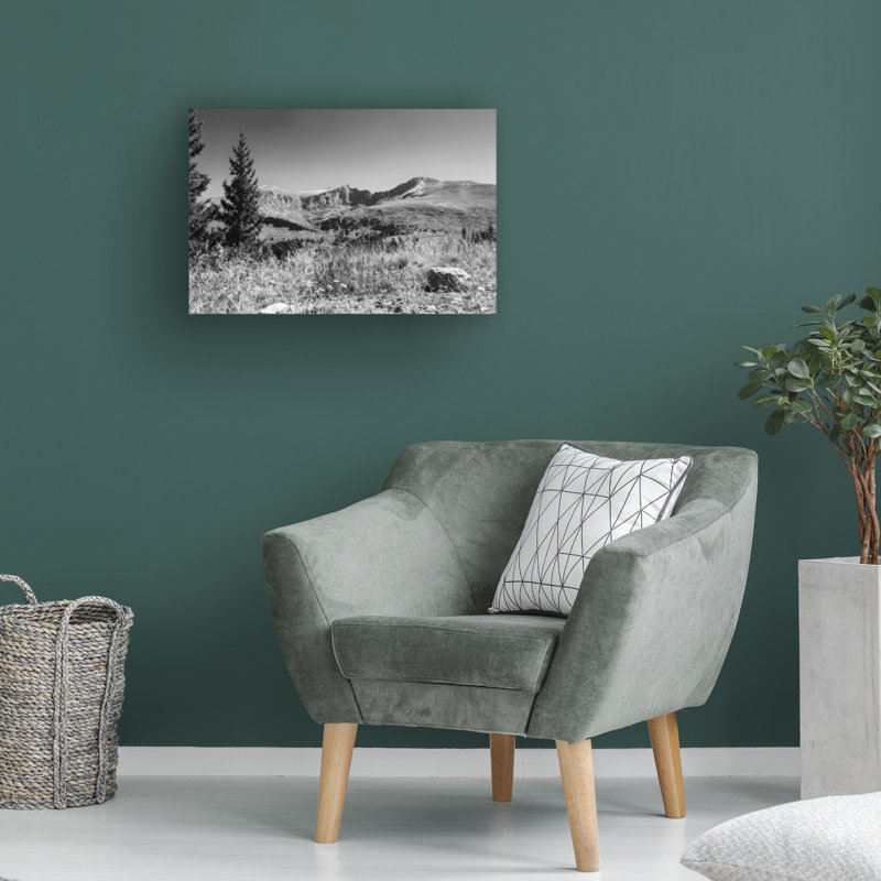 Art sur toile Kent Flora, H 30 po x l 47 po