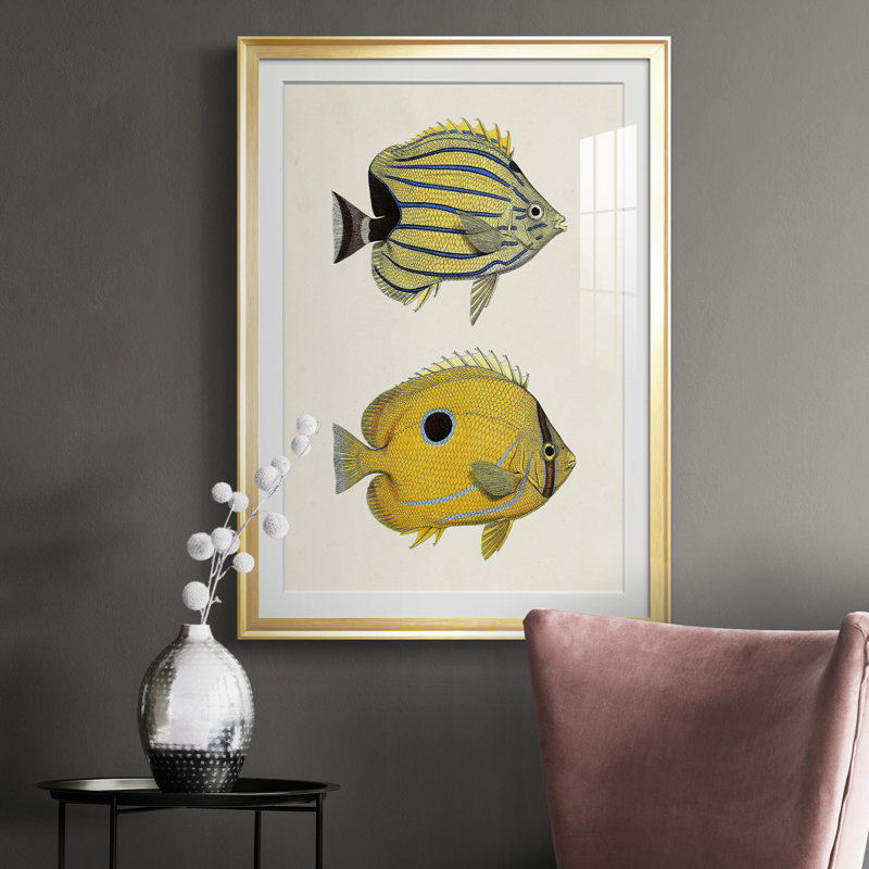 Poisson jaune et gris III - impression, Cadre doré, H 36,5 po x l 26,5 po x P 1 po