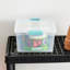 Sac de rangement transparent moyen de Stérilite, paquet de 8, et grand sac de rangement transparent, paquet de 8