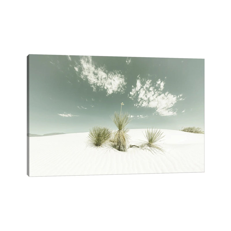 White Sands Vintage by Melanie Viola - Wrapped Canvas Print, 45.72cm H x 66.04cm W x 1.91cm D