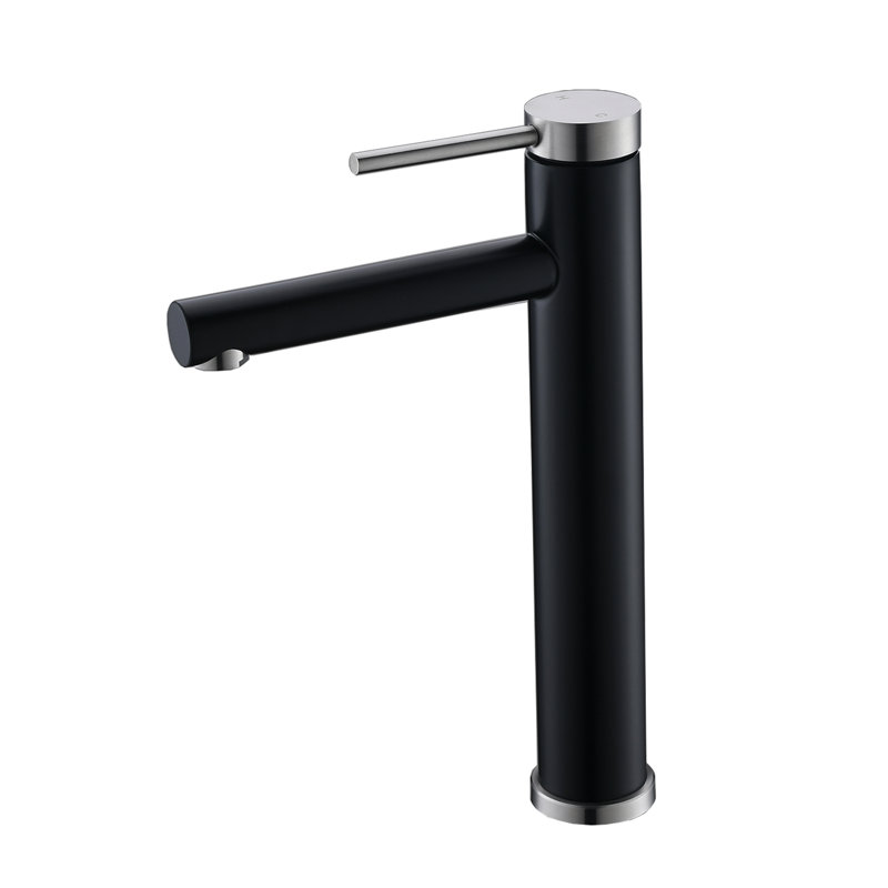 Robinet de lavabo vasque en acier inoxydable avec conduites d'alimentation, Noir / argent
