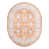 Oval 7'10" x 10'