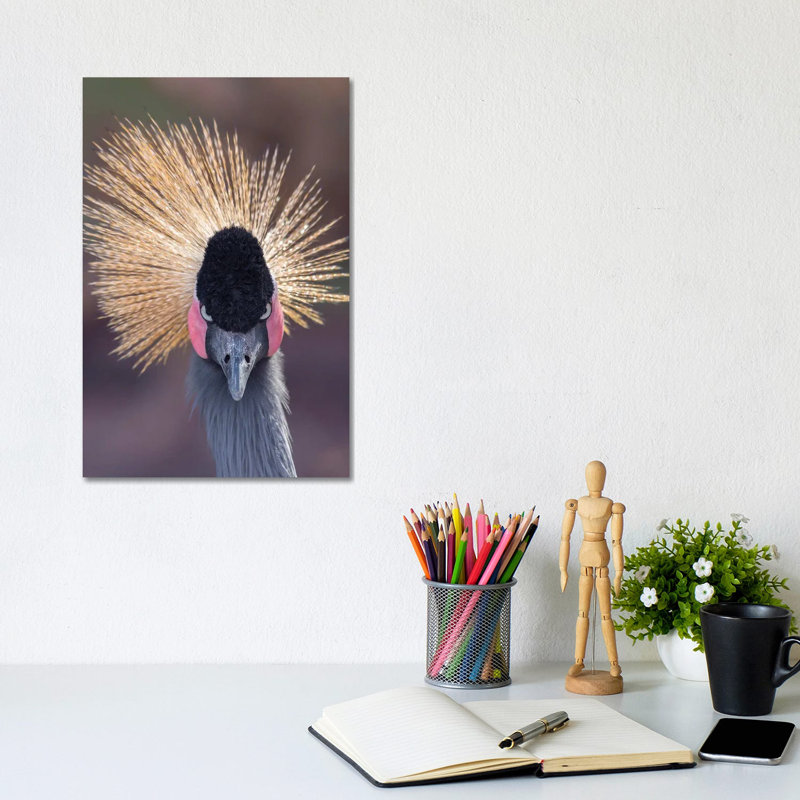 Headshot Crane Stare by Louis Ruth - Wrapped Canvas Print, 20.32 cm H x 30.48 cm W