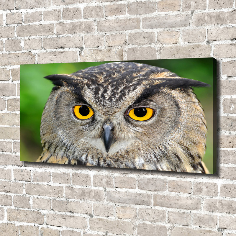 Owl - No Frame Print, Canvas, 70cm H x 140cm W