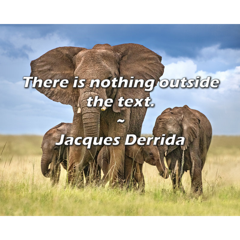 Citation de Jacques Derrida: Il n'y a rien en dehors du texte., H 20 po x l 24 po