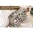 12 Drawer Dresser for Bedroom, Wooden Chest of Drawers Storage Cabinet with Built-In Power Outlet-361931902