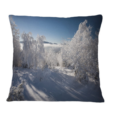 Throw Pillow