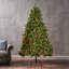 7 pi Arbre de Noël articulé avec 650 lumières multicolores UL