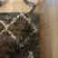Photos des clients 1 de 1