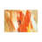 Tree Changes by Martin Shire - Wrapped Canvas Gallery-Wrapped Canvas Giclée-69245657
