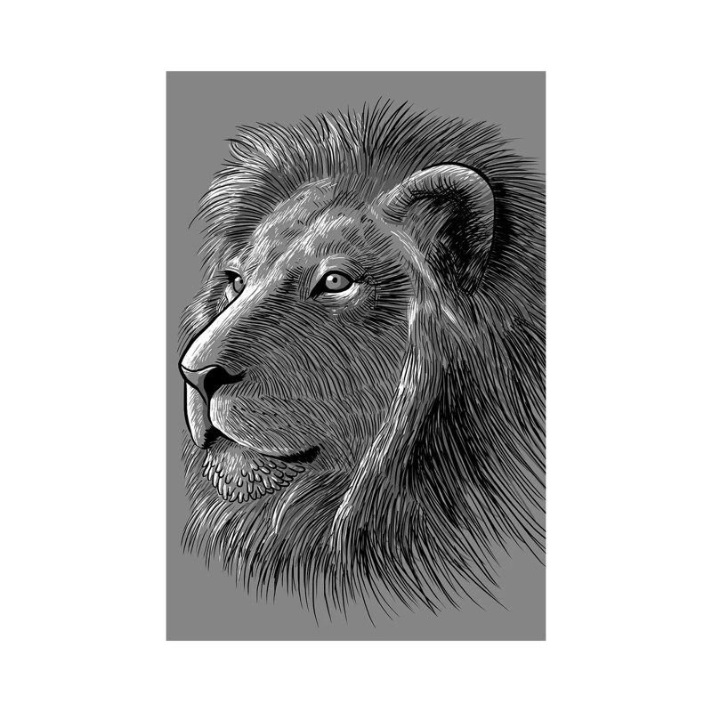 Sketch Lion by Alberto Perez - Wrapped Canvas Print, 66.04 cm H x 45.72 cm W