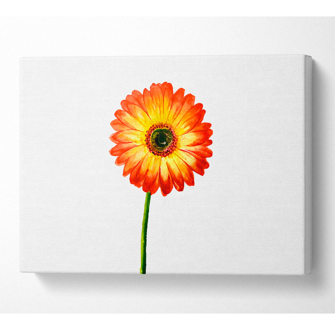 Orange Gerbera auf Weiß - Druck