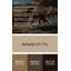 Chiens bretons, art mural sur toile noire-332187660