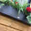 Photos des clients 3 de 3
