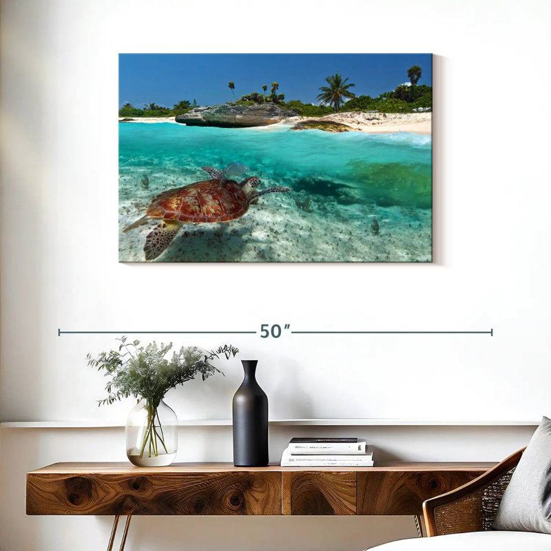 Tortue des Caraïbes, H 24 po x l 36 po