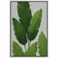 Œuvre botanique de feuille tropicale minimaliste, plante verte moderne, photos, impression sur toile encadrée-126136617-126136622