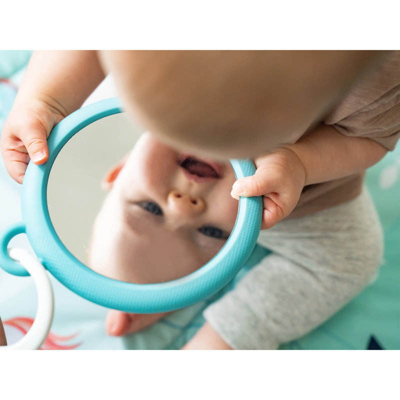 The Ocean Baby Gym