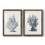 «Blue Antique Coral I-Premium», reproduction encadrée prête à être accrochée-1506530293-1506530301