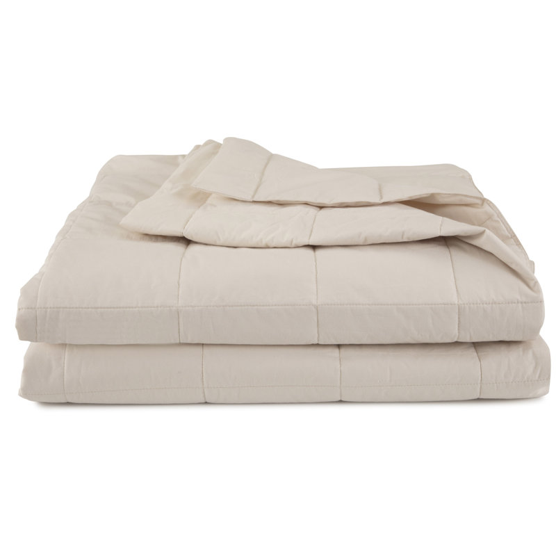 EcoPure Filled 100% Cotton Cover Solid Blanket, Full/Queen, Cream