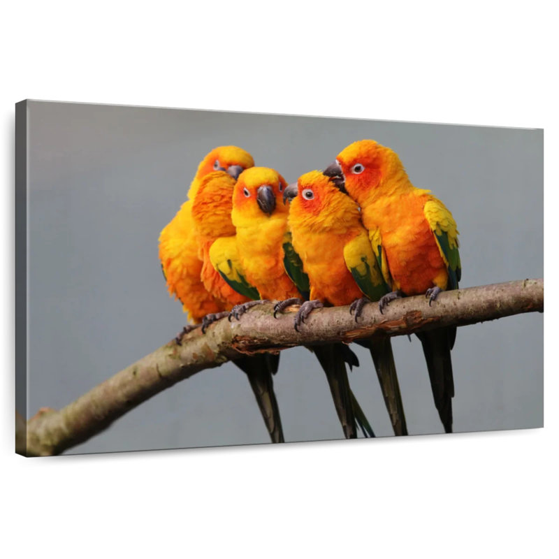 Wild Sun Parakeets, 16" H x 24" W