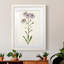 Mauve Garden Flowers III - peinture encadrée-53124333-53124329