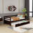 Twin Platform Bed With Trundle-460676451