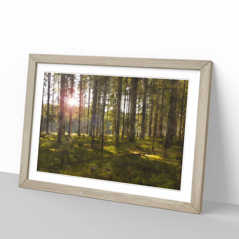 Sunlight Forest Vol.2 - Picture Frame Painting, 27cm H x 36cm W x 2cm D, Oak Framed