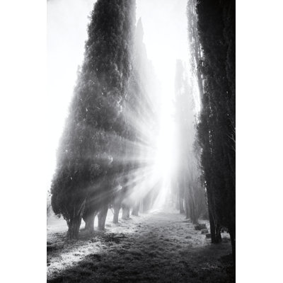 Rays of Morning - impression