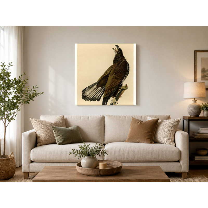 Aigle à tête blanche, plaque 126 (1833) - art mural carré sur toile, 12" W x 12" H