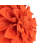 Floral Throw Pillow-1326442699-1326442698