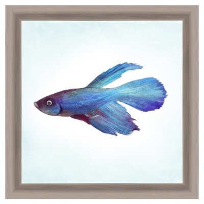 PTM Tropical Fish Giclee Framed Drawing Print | Wayfair