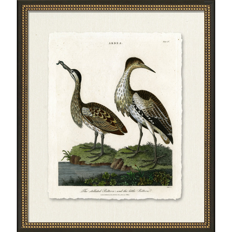 Medium Bittern Painting