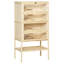Cage à hamster en bois à 5 niveaux Pawhut