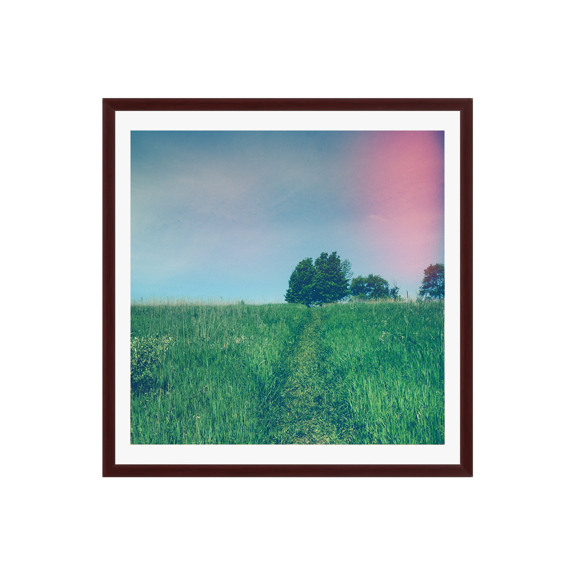 Summer Solstice by Olivia St Claire, No, Mahogany Floater Framed, 36" W x 36" H