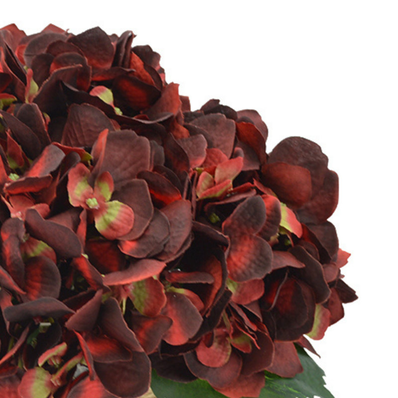 Sarina Hydrangea Floral Arrangement in Glass Vase with Moss, Burgundy