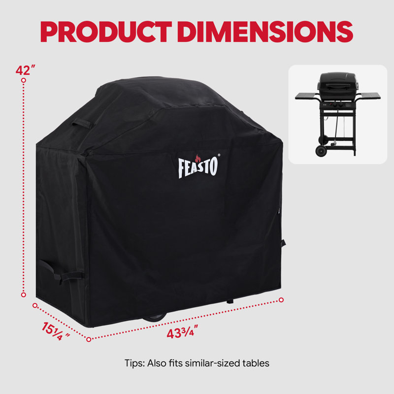 Feasto 2-Burner Propane Gas Grill With Cover